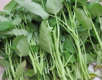新鮮蔬菜配送:空心菜