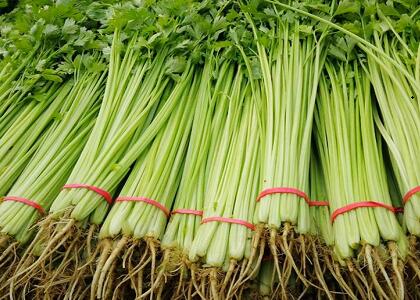 新鮮蔬菜配送:香芹