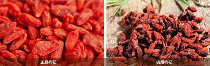 正品枸杞和劣質枸杞的區別