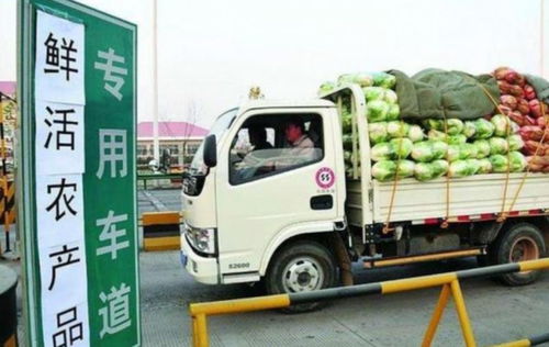 貨車司機(jī)夏天最不愿意拉的5種貨物，拉完一趟10天都緩不過(guò)來(lái)